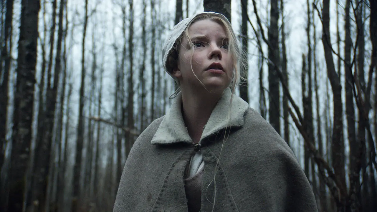 The Witch (2015) directed by Robert Eggers