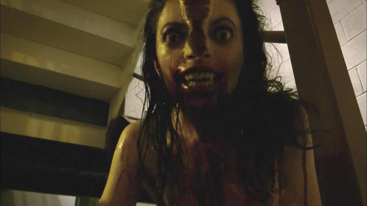 Póster de V/H/S